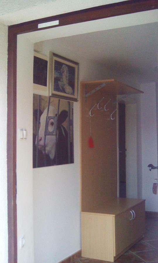 Apartma Pr' Vok Лесце Екстериор снимка